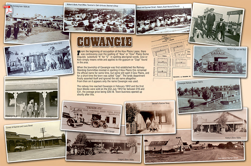 Cowangie-poster