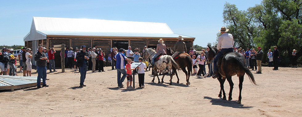 Kow Plains Stables Opening